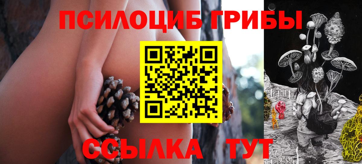Псилоцибиновые грибы Magic Shrooms  Вход с VPN  Ефремов 