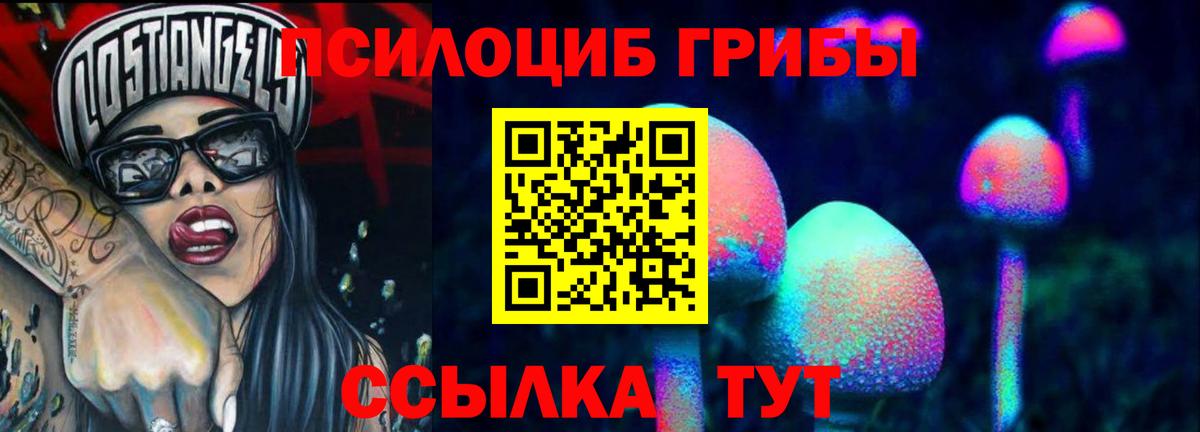 Галлюциногенные грибы Cubensis Ефремов